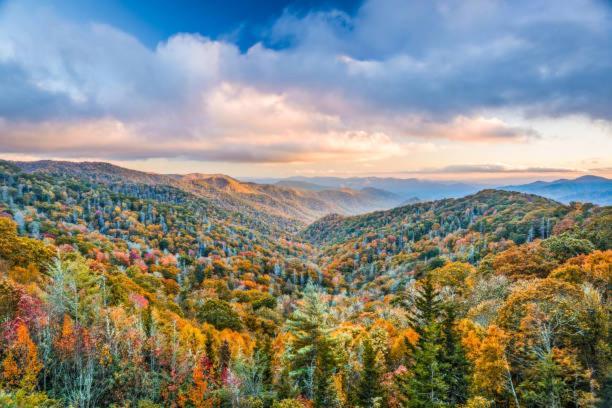 Vila Breathtaking Sunsets, Views, Pool, Heaven Awaits! Gatlinburg Exteriér fotografie