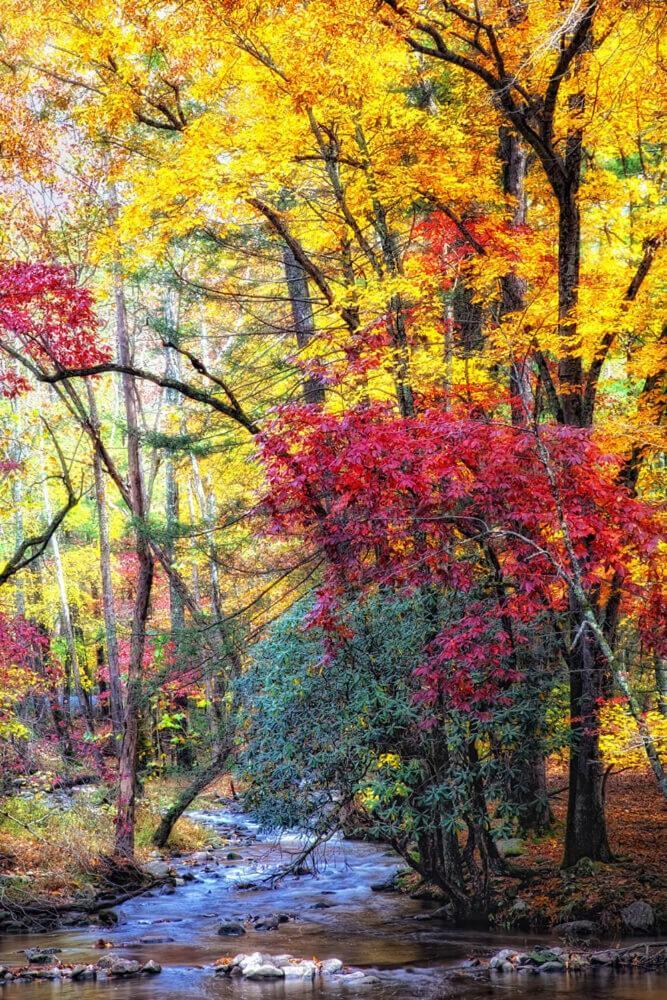 Vila Breathtaking Sunsets, Views, Pool, Heaven Awaits! Gatlinburg Exteriér fotografie